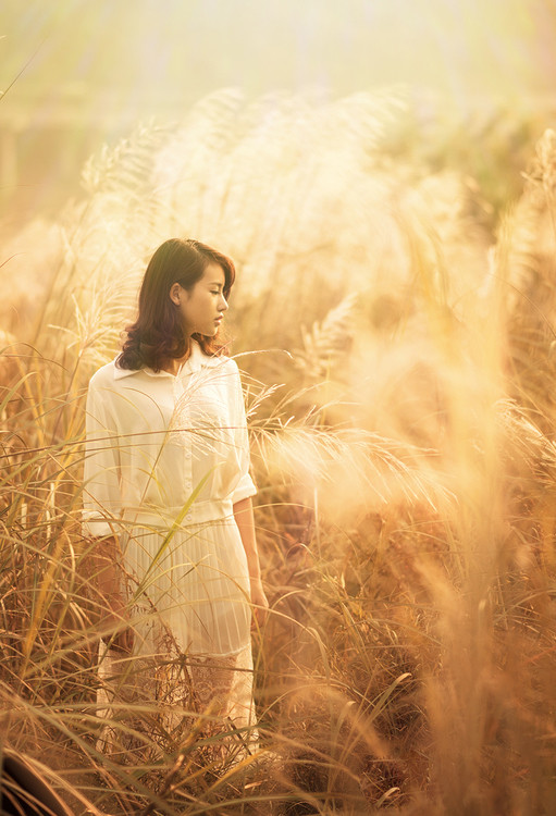 淡淡幸福情感美文