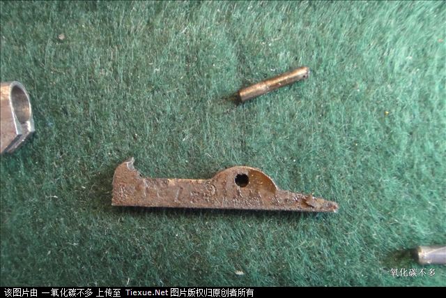 绝对罕见!德国橹子奇特的全分解过程详图