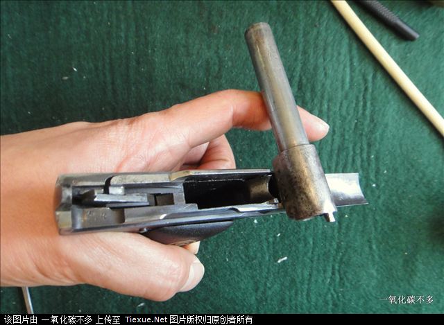 绝对罕见!德国橹子奇特的全分解过程详图