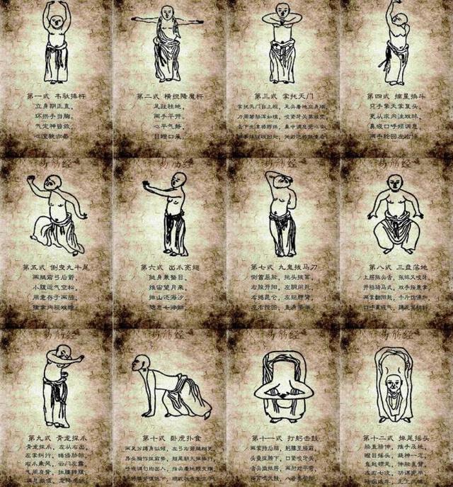 其"内壮神勇"提到练习该功法之后,"从骨中生出神力,久久加功,其臂,腕