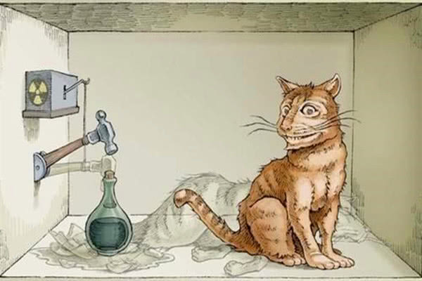 2,单体的叠加态:薛定谔的猫