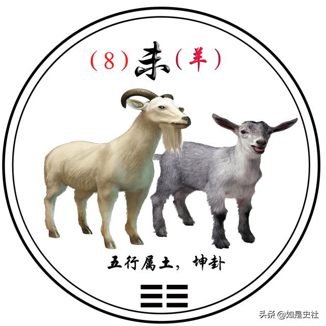 00)巳蛇:离火(阴)(9:00——11:00)辰龙:艮土(7:00——9:00)卯土:巽木