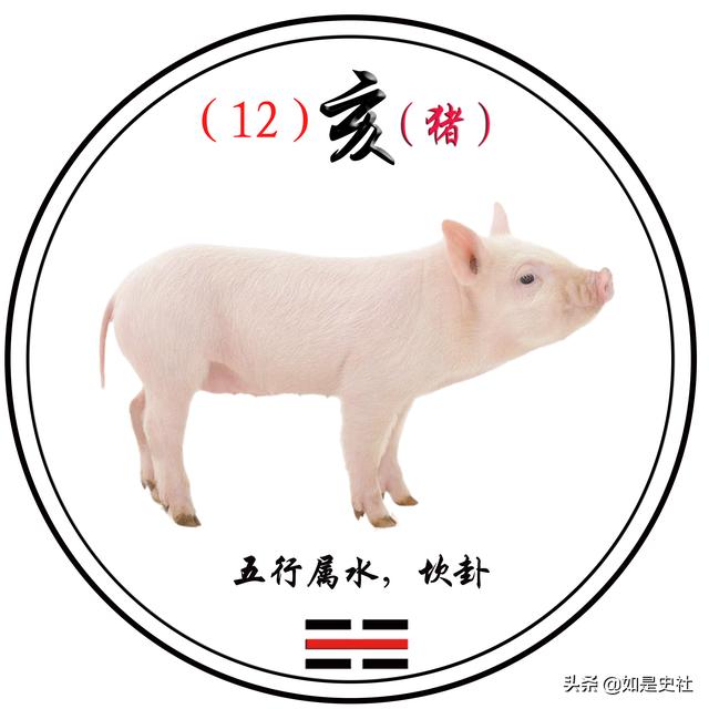 12生肖12时辰五行八卦换算图