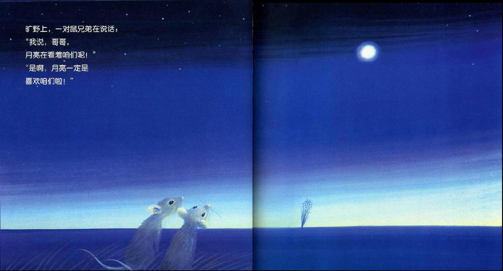 绘本圆圆的月亮