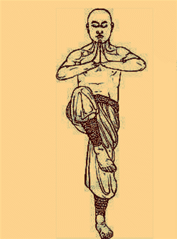 10式易筋经动态武术教学