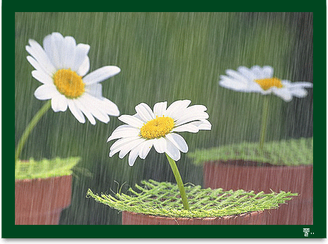 gif动图漂亮的风景动态图