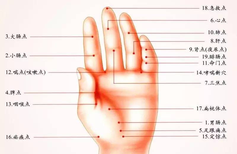 有没有生病看看手掌颜色就知道