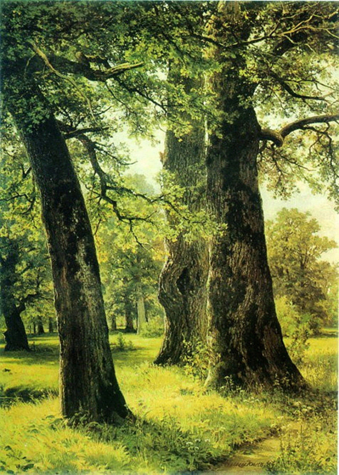 森林歌手--俄国画家希施金风景油画