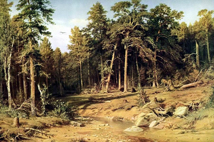 森林歌手--俄国画家希施金风景油画