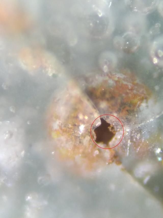 十,有气泡坑釉面气泡里的气,因高温跑出继而缩釉,缩釉中央留下一个小