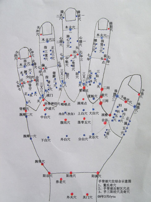 手掌及手背部穴位综合图(董氏奇穴\传统穴\反射区)