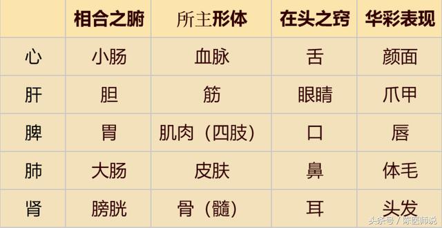 中医原理之中医整体观