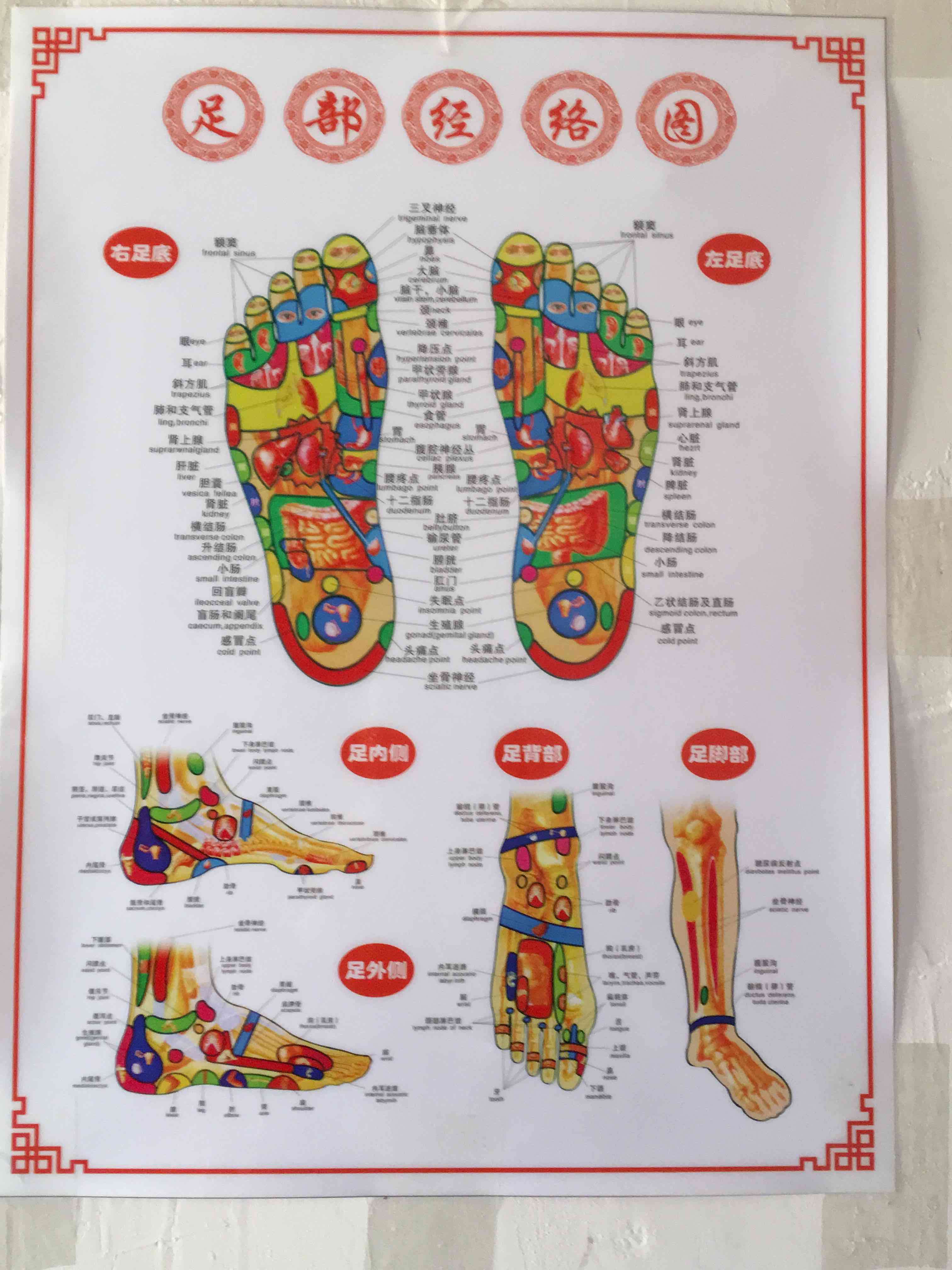 人体经络穴位图