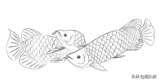 金龙鱼简笔画简单图片