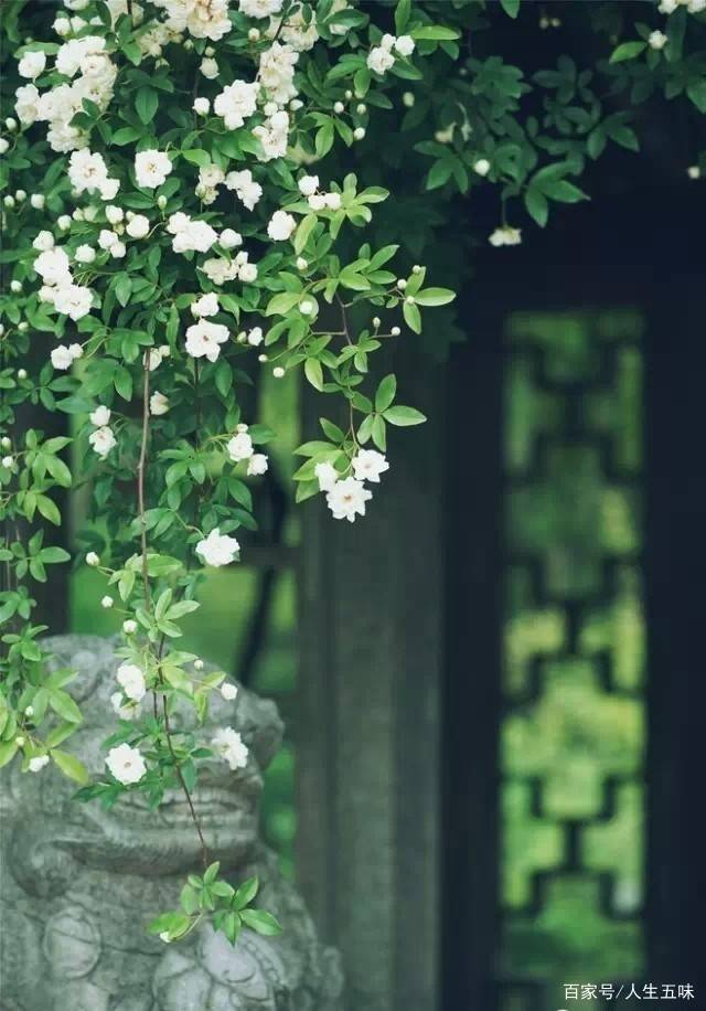 最好的心境,是丰富的安静