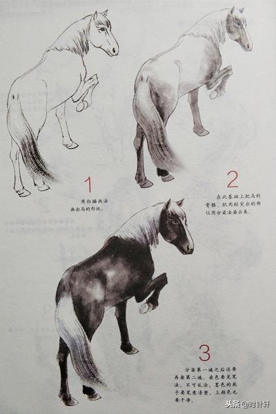 毛笔画马的步骤图片