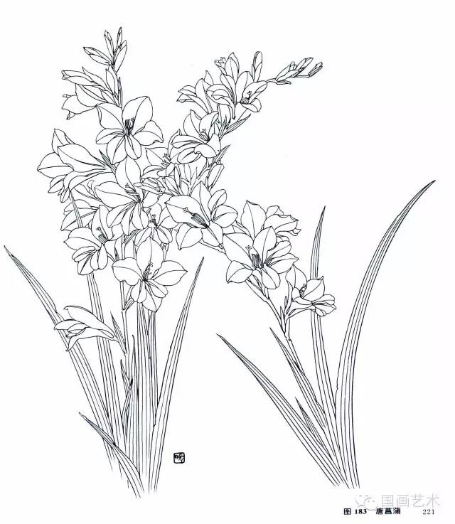 李长白花卉写生构图(5)