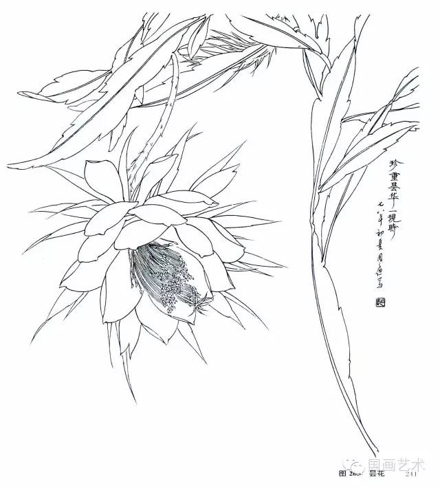 李長白花卉寫生構圖(5)