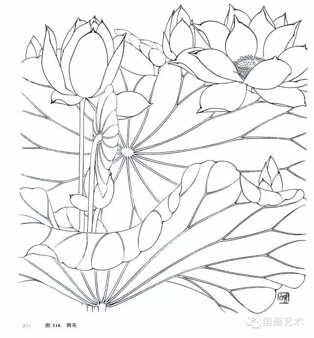 李长白花卉写生构图(5)