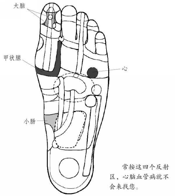 学会打通经络 2