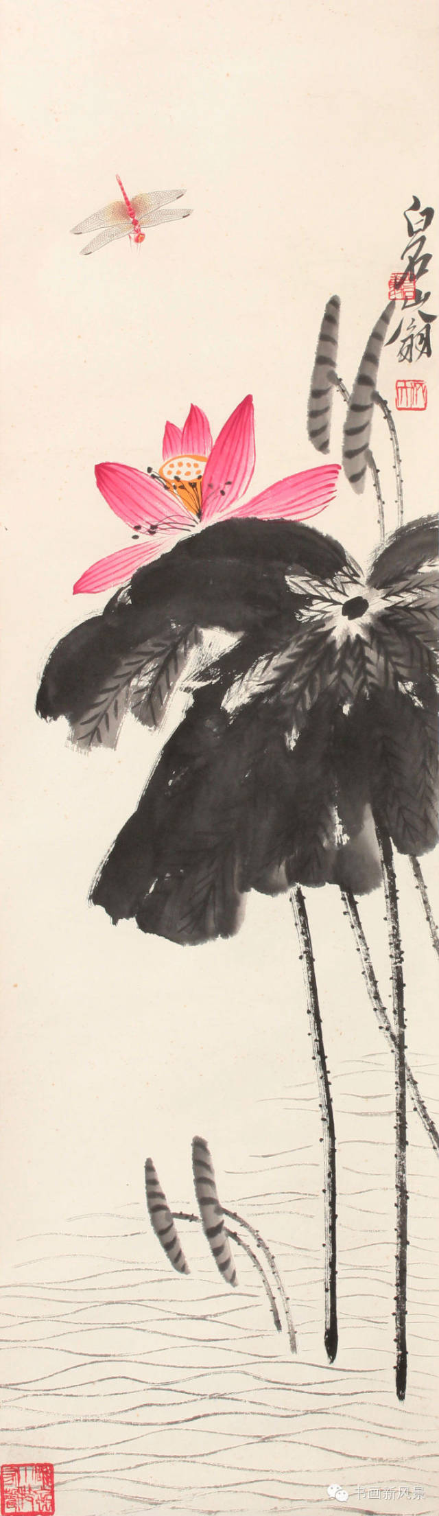 工笔画蜻蜓画法步骤详解