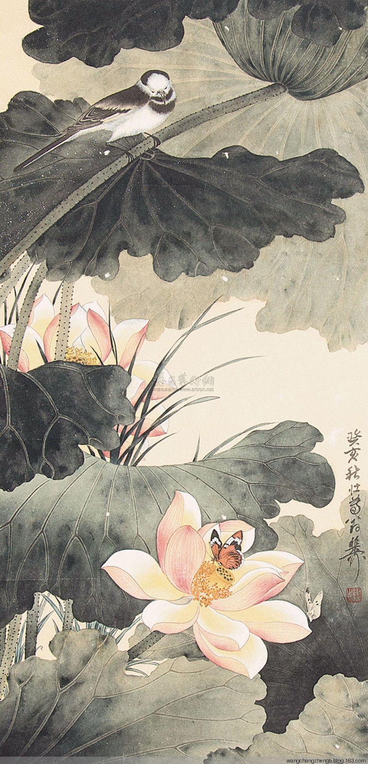 谢稚柳 荷花作品欣赏