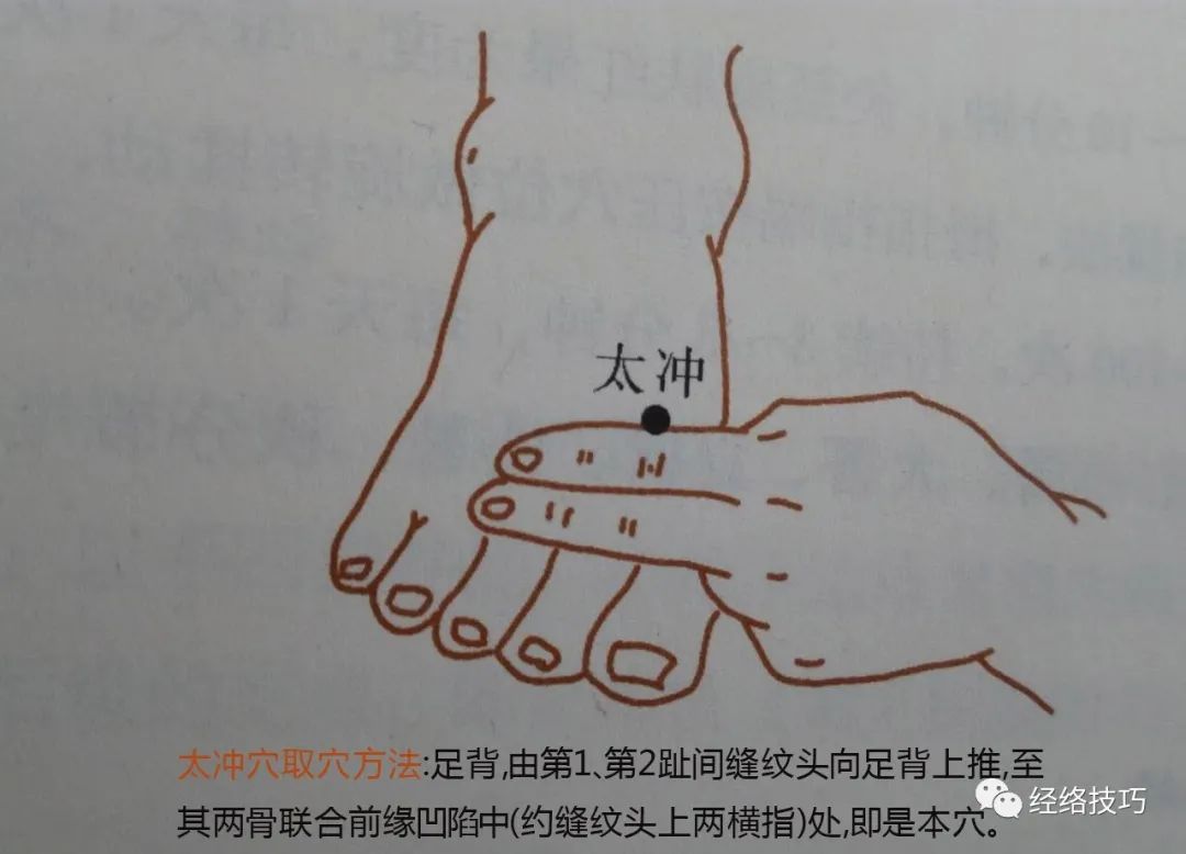 太沖穴,大補肝氣的綠色通道桑葚子具有巽木之性,能滋補肝腎,收斂肝之