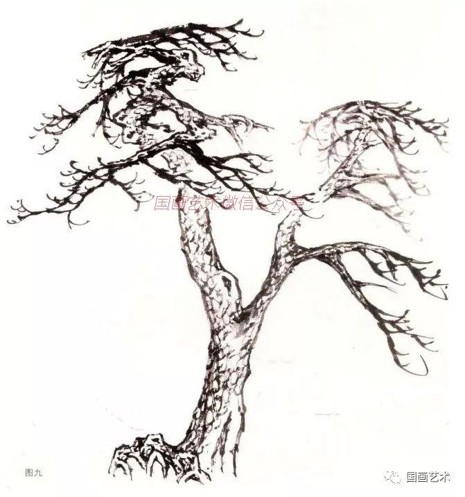 两棵松树的画法图片