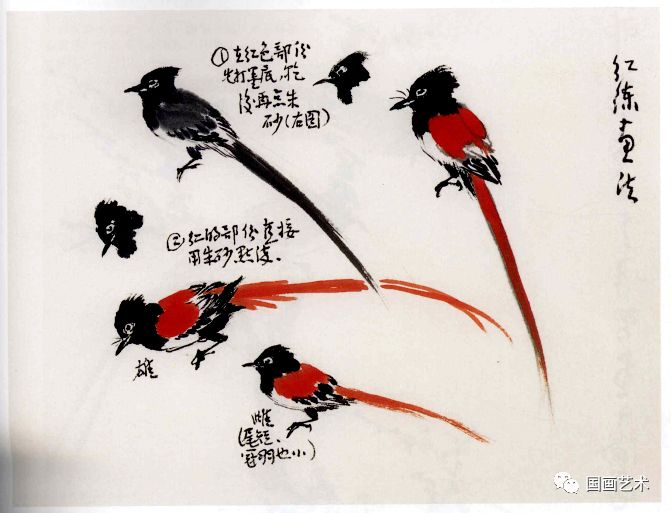 孙其峰书画谱之小鸟3