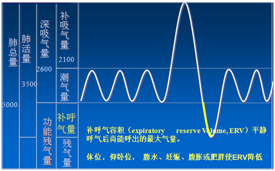 手把手教你如何解读肺功能