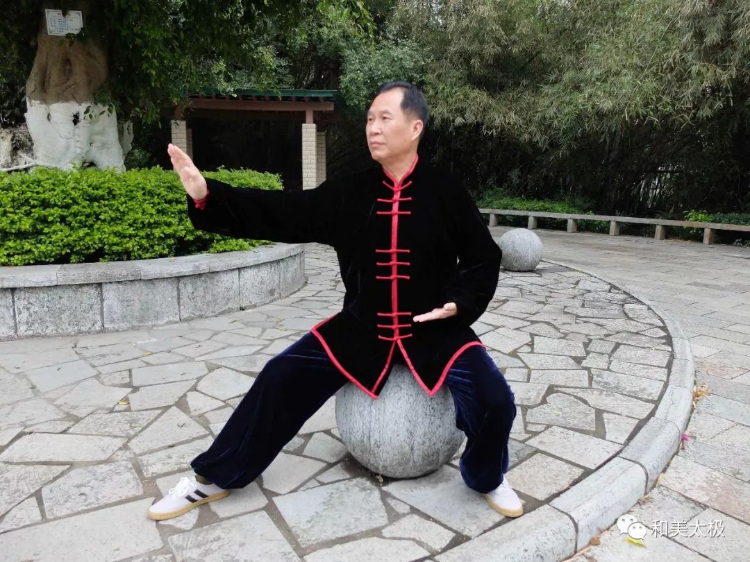 陈雄聊太极拳3坐着练功习拳有松腰胯之妙