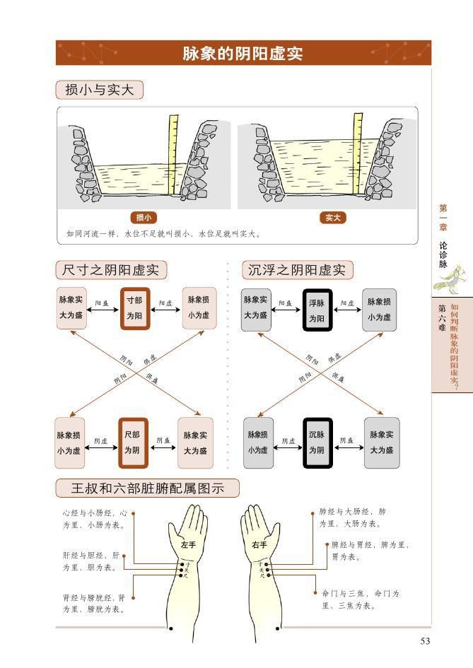 本文将中医28脉象鉴别的要点以图表的形式进行呈现,提升记忆效率,提高