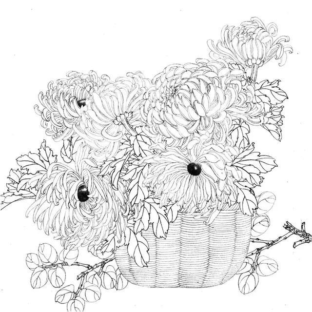 39张高清工笔画线稿送给您,快来临摹吧