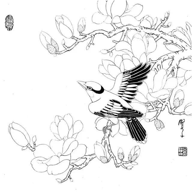 39张高清工笔画线稿送给您,快来临摹吧