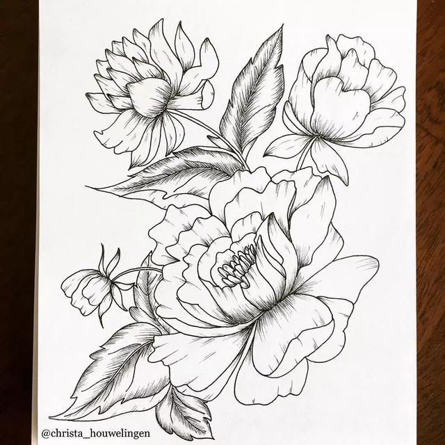 想提高造型能力线条一定拿捏好线条画不好就没画下去的必要