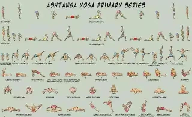 阿斯汤伽(加)ashtanga 瑜伽第一序列梵文数字与和体式的读法(收藏级)