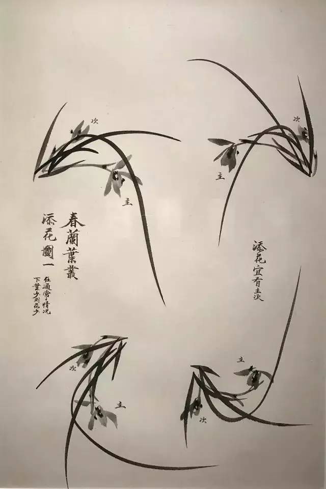 兰花与添花之法卢坤峰先生墨兰说课徒稿