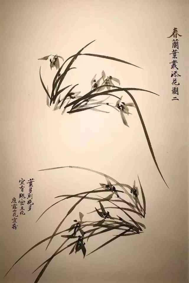 兰花与添花之法卢坤峰先生墨兰说课徒稿