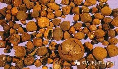 国内外名贵滋补品，名贵中药材大全，赶紧收藏了