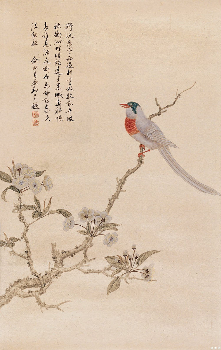 俞致贞工笔花鸟欣赏五