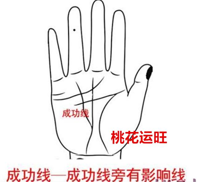 讲手相终极篇100