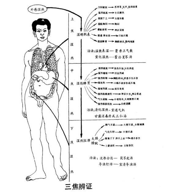 中医诊断学之三焦辨证