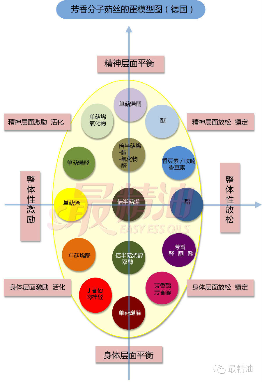 最常见的就是代表得德系芳疗的"蛋形图,以及代表法系芳疗的"四象限