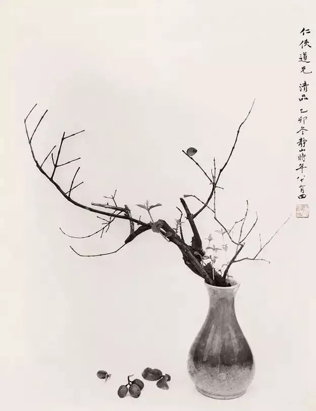 朱光潜|有审美的眼睛才能见到美