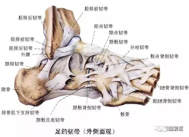 超實用膝踝關節康復訓練及治療一文讀懂