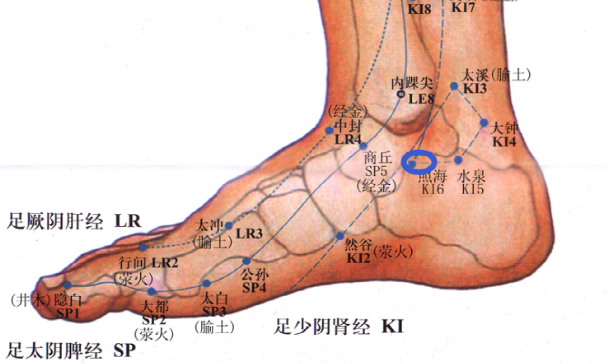 脚大拇指有几根筋图片图片