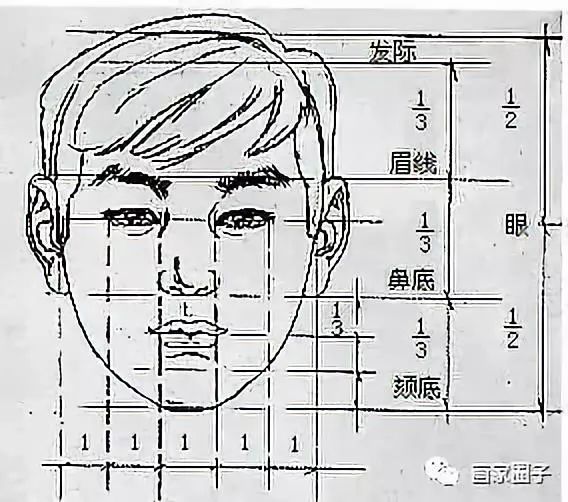 三庭五眼速写图片