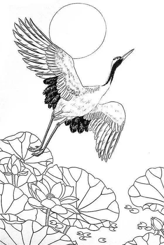 白描花鸟仙鹤篇