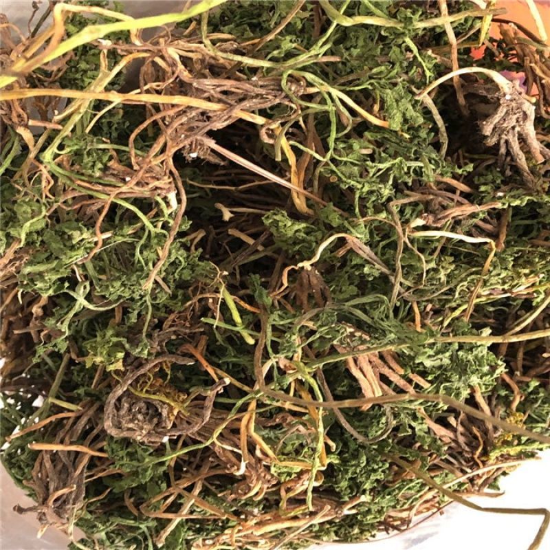 治疗淋巴结核的祖传秘方有哪些良方家传草药外敷