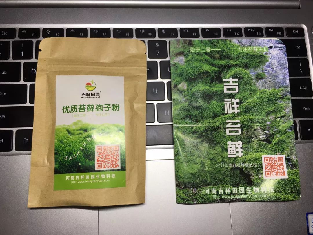 "苔藓粉"我在网上买的另一家的"孢子粉"我在网上前后买了两家的苔藓粉